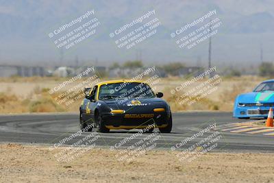 media/Mar-30-2025-Pro Autosports (Sun) [[34ff8f16e0]]/2-Blue-White Group/Main Race/